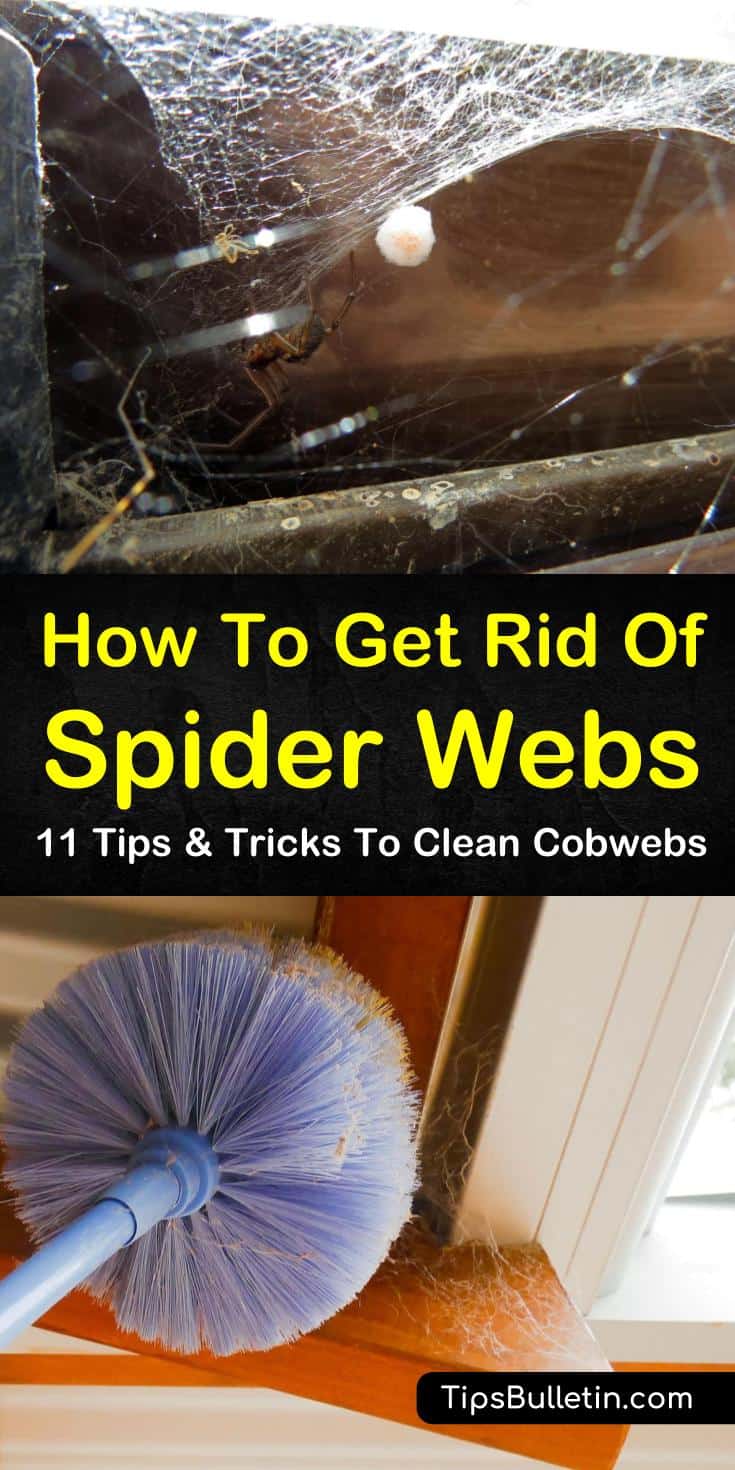 Want to know how to get rid of spider webs on porch overhangs and inside your home? These 11 helpful spider web repellent tips will help you remove those webs for good. Use ingredients like peppermint oil to keep your home free of cobwebs and the spiders who made them. #rid #spider #webs #repellent