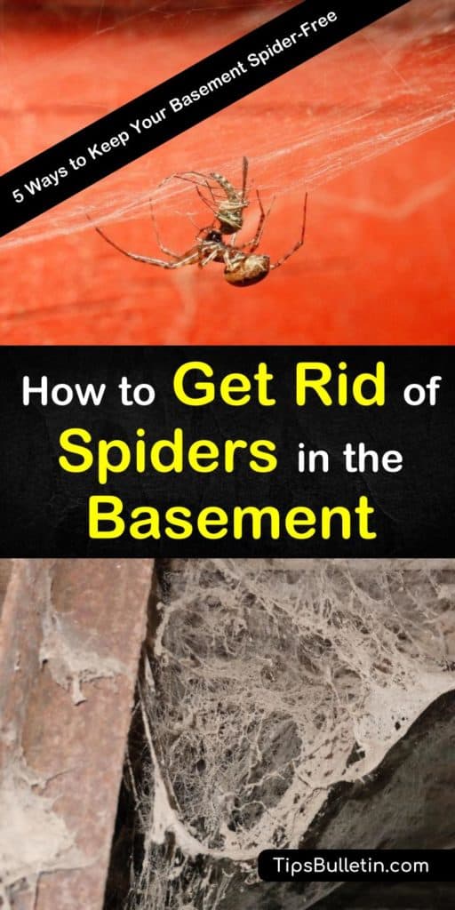 spiders tipsbulletin eparjob remainst