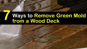 how to remove green mold from a wood deck titleimg1