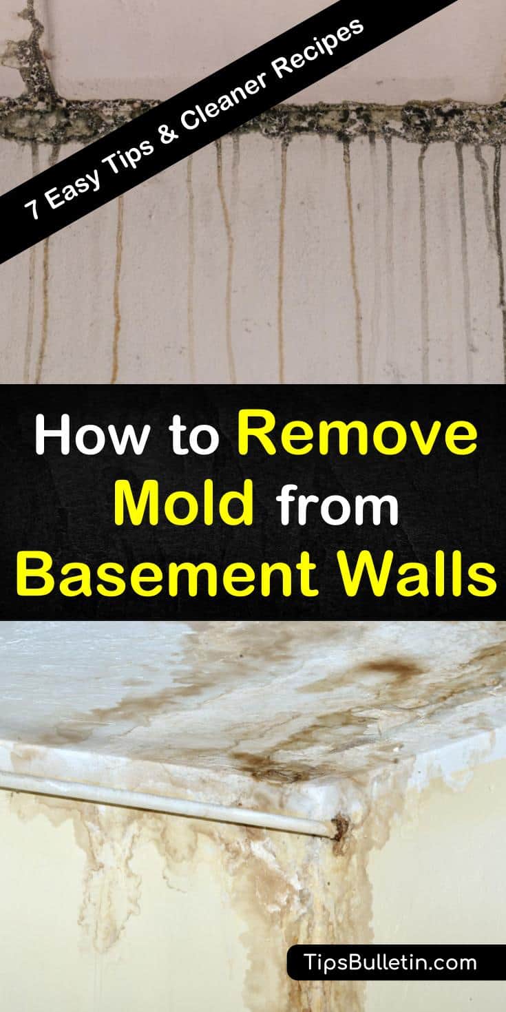 7 Quick Ways To Remove Mold From Basement Walls 7 Quick Ways To Remove Mold From Basement Walls