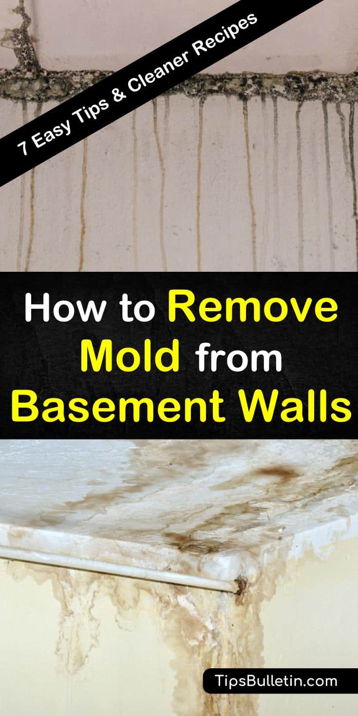 23 Quick Ways to Remove Mold from Basement Walls