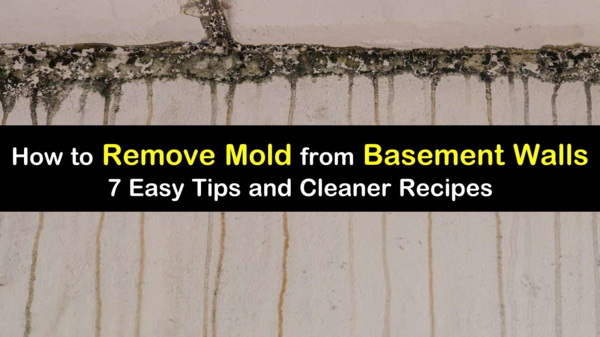 18 Quick Ways to Remove Mold from Basement Walls 18 Quick Ways to Remove Mold from Basement Walls