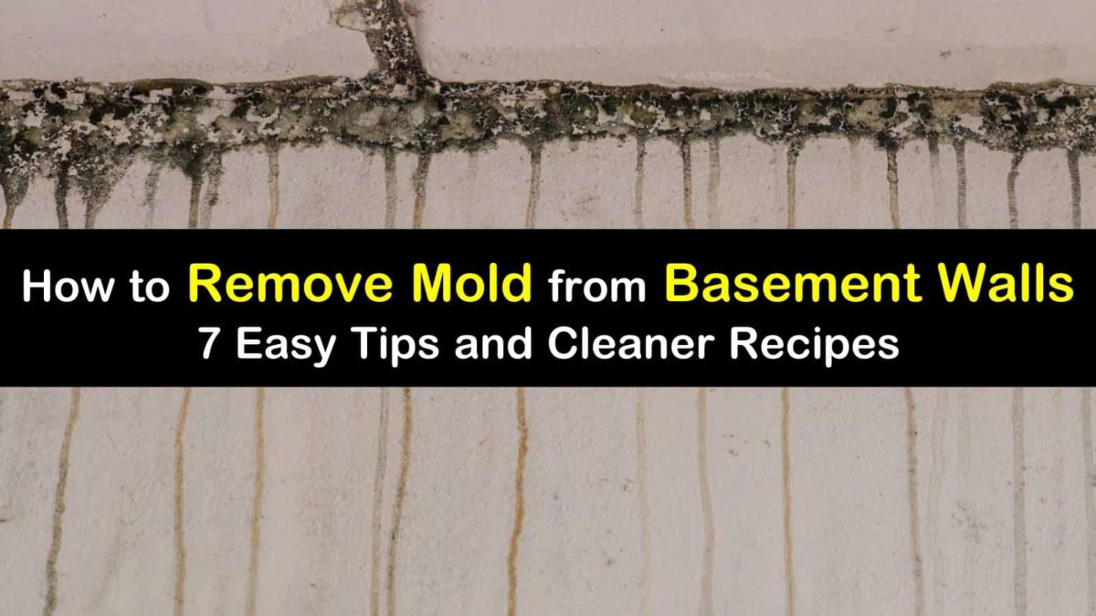 23 Quick Ways to Remove Mold from Basement Walls