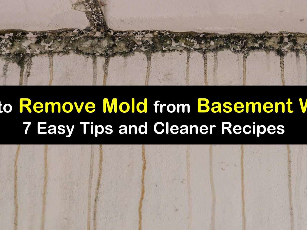 16 Quick Ways to Remove Mold from Basement Walls