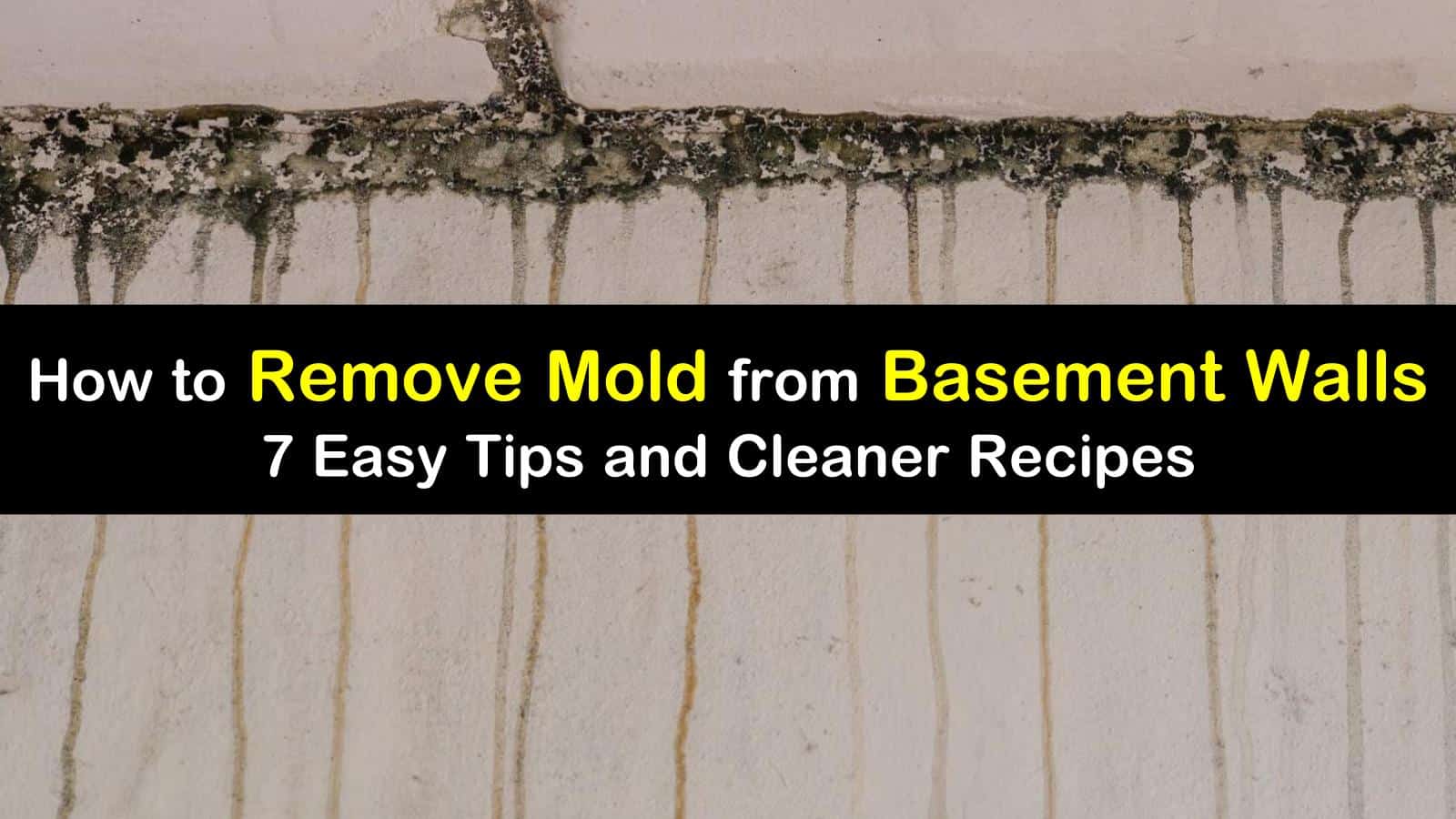 how to remove mold from basement walls titleimg1