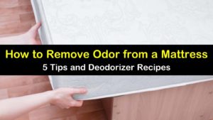 how to remove odor from mattress titleimg1