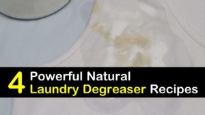 laundry degreaser titleimg1