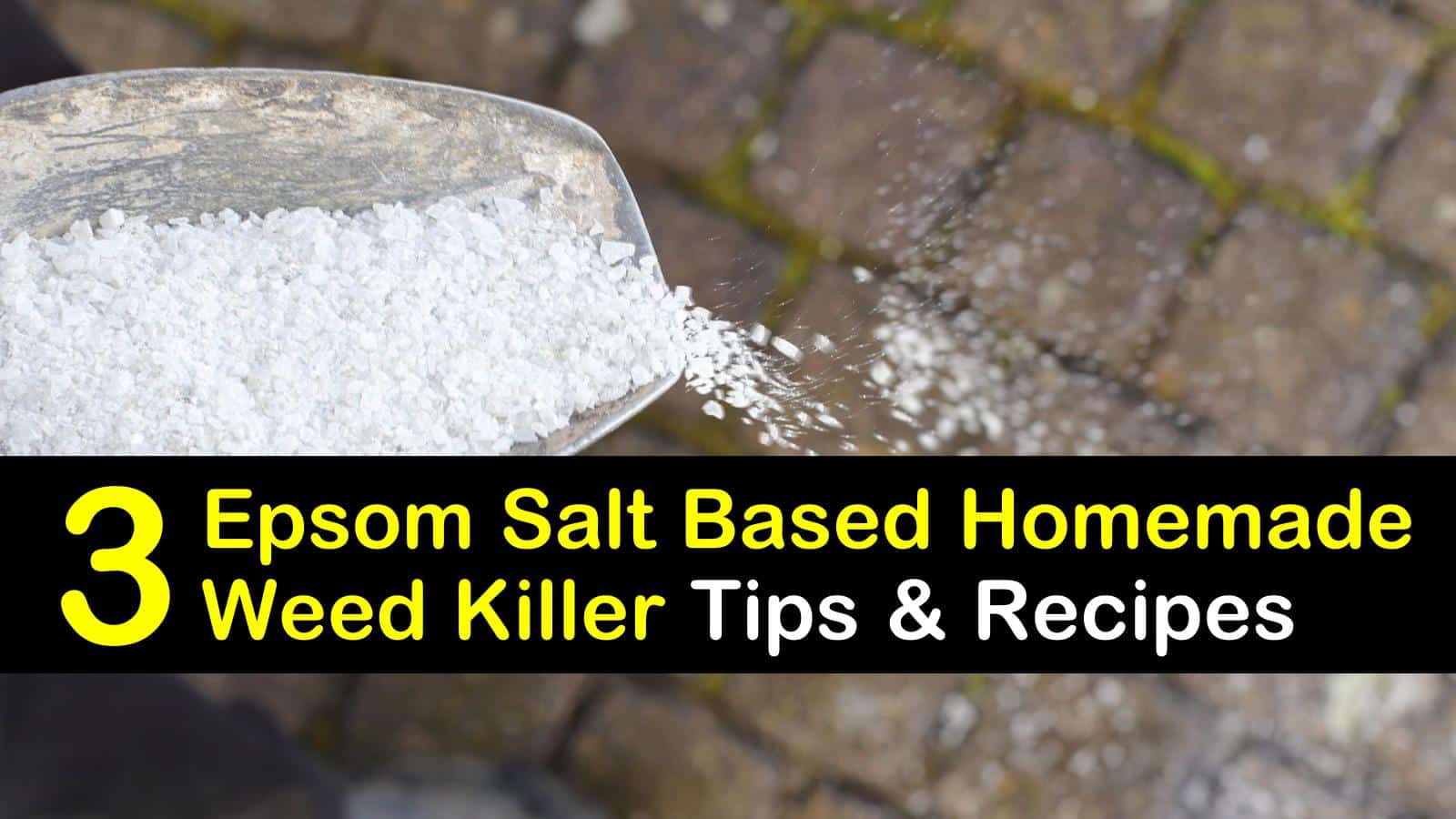 epsom salt based homemade weed killer titleimg1