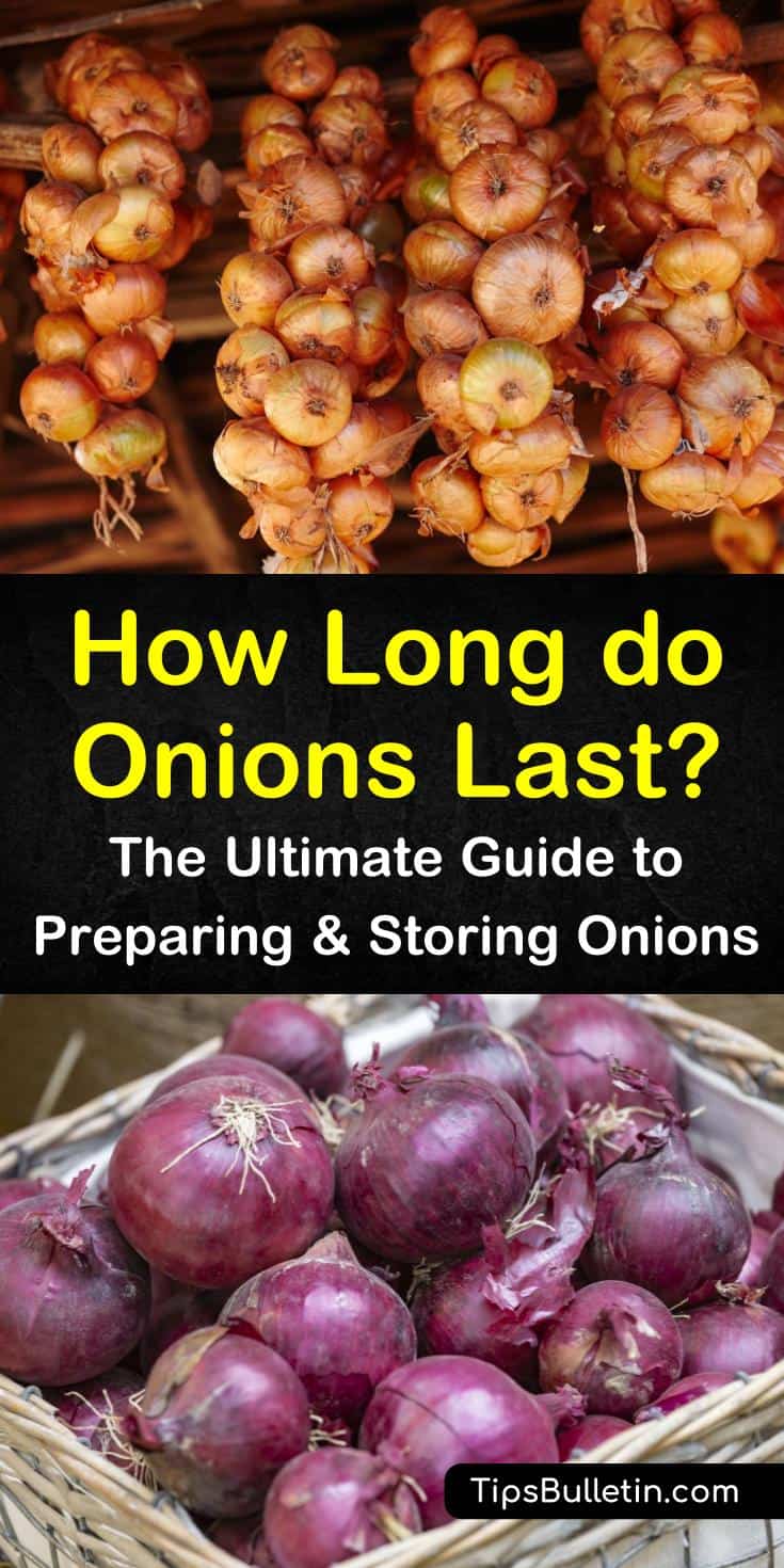 Whole onions can last two months at room temperature with proper ventilation, while cut onions can be kept in the fridge for a few days if they are in a plastic bag. Our storage methods show you how to keep onions from sprouting and rotting. #storingonions #howlongdoonionslast #onionstoragelife