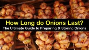 onions