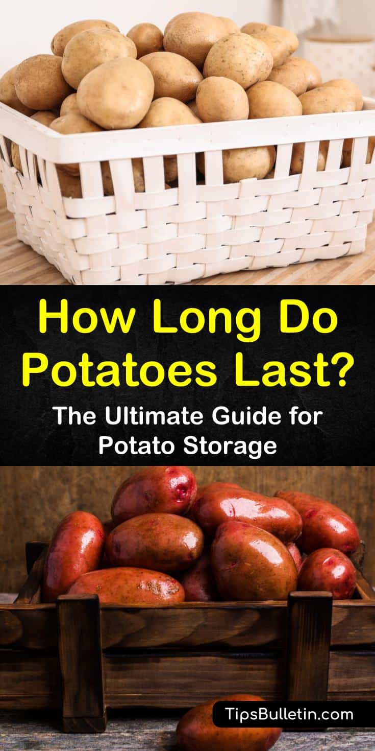 Raw potatoes have a long shelf life when stored correctly. While there is no way to prevent them from sprouting, we teach you how to extend their shelf life by learning how to properly store potatoes. #potatoes #potatoshelflife #howlonglastpotatoes