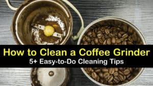how to clean a coffee grinder titleimg1