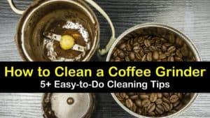 how to clean a coffee grinder titleimg1