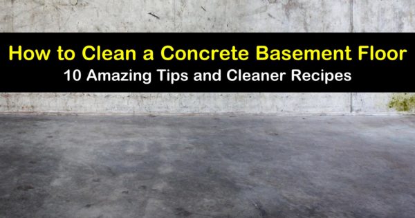 Clean A Concrete Basement Floor, Does Bleach Kill Mold In Basement Floor