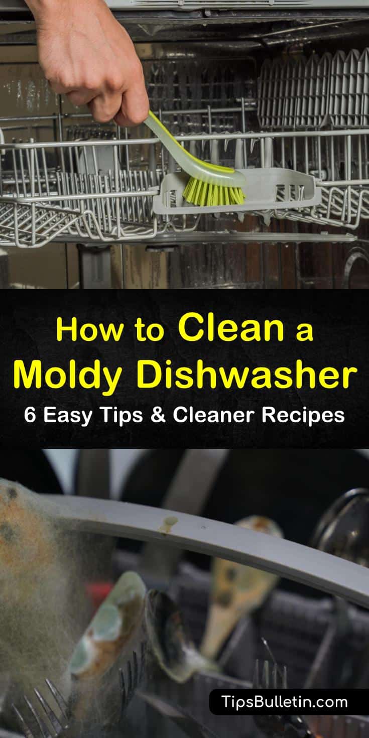 Mold likes to thrive in dishwashers and can be harmful to you and your family. Clean that moldy dishwasher with baking soda or a DIY cleaning solution of white vinegar. You can even use bleach to kill mold growth in the dishwasher. #moldydishwasher #cleanadishwasher #moldindishwasher