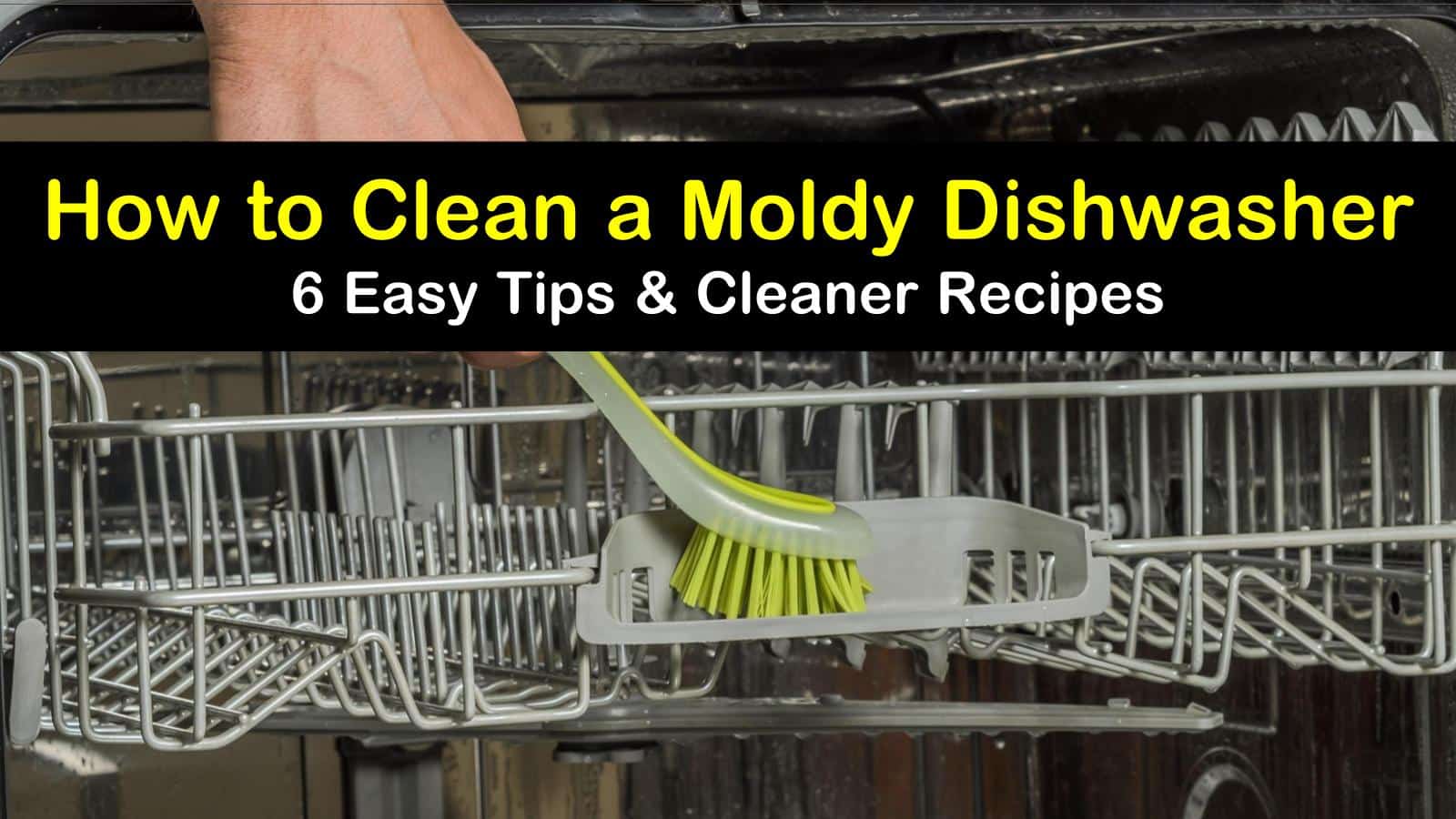 how to clean a moldy dishwasher titleimg1