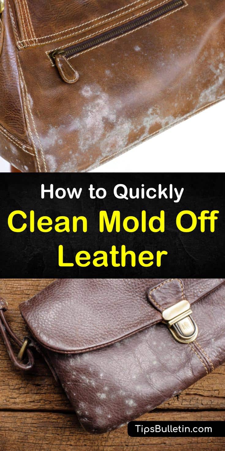 Want to know how to clean mold off leather boots, a purse, or a couch? No matter what leather goods you need to remove mold from, these cleaning solutions will work for you. Try a gentle cleaner like saddle soap for unfinished leather and vinegar for spot treatments. #clean #mold #off #leather