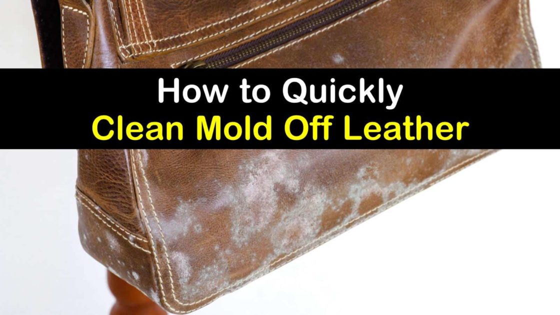 4 Simple Ways To Clean Mold Off Leather, What Causes Black Spots On Leather