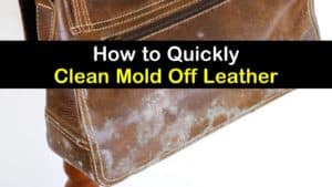 how to clean mold off leather titleimg1