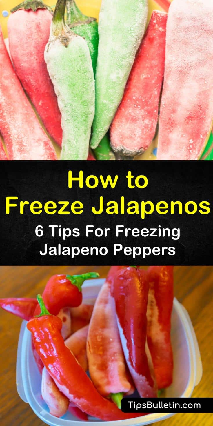 Discover how to freeze jalapenos using flash freezing strategies. Find answers to questions like, can you freeze peppers without blanching them? Try these 6 easy tips to get your jalapeno peppers ready from prep work to the freezer to a tasty recipe finish. #freeze #jalapenos #peppers #howto