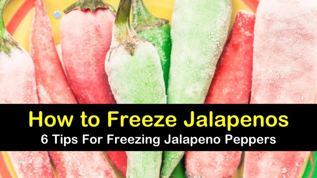 6 Amazing Ways to Freeze Jalapeno Peppers