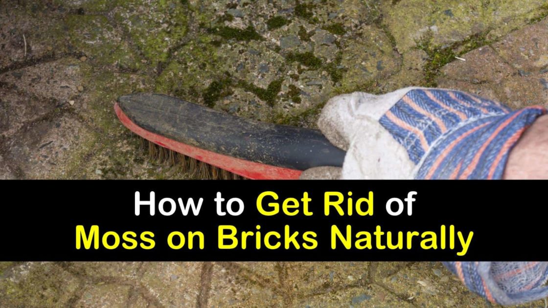 How to remove moss from pavers