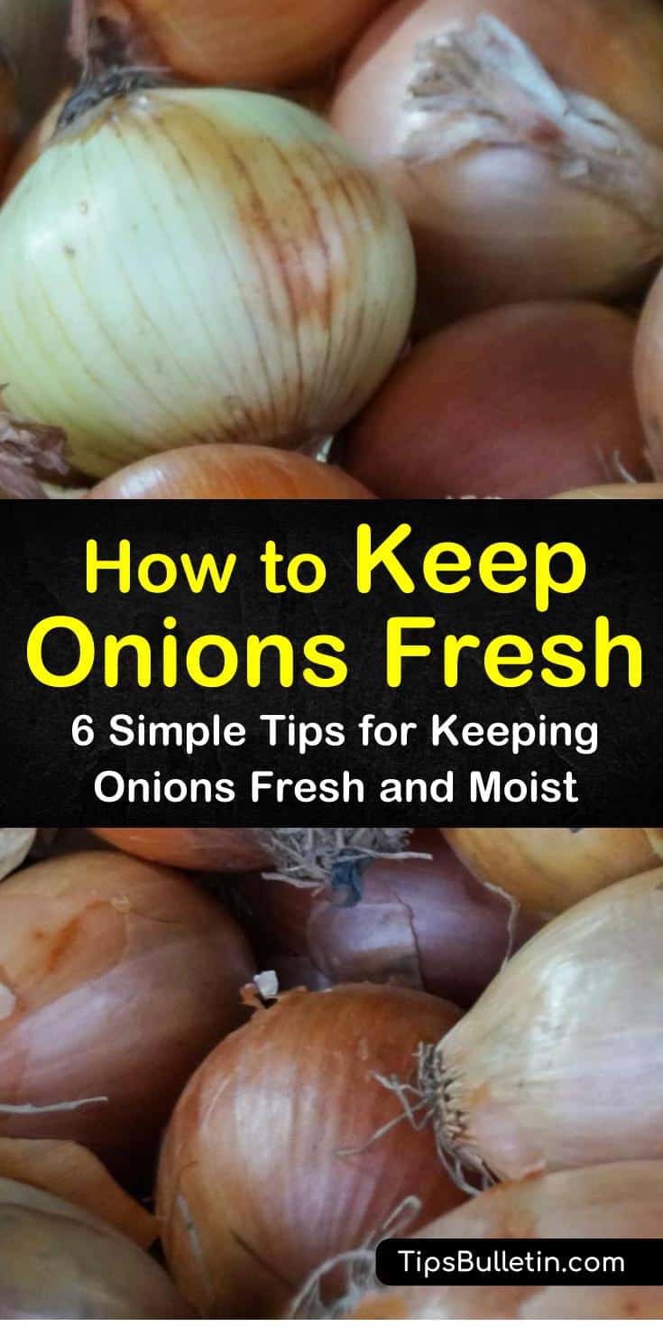 Try these amazing techniques for how to keep onions fresh. Discover how to store onions in the freezer, fridge, or pantry. Learn what the best food storage is based on the type of onion you want to keep fresh. #keep #onions #fresh #storage