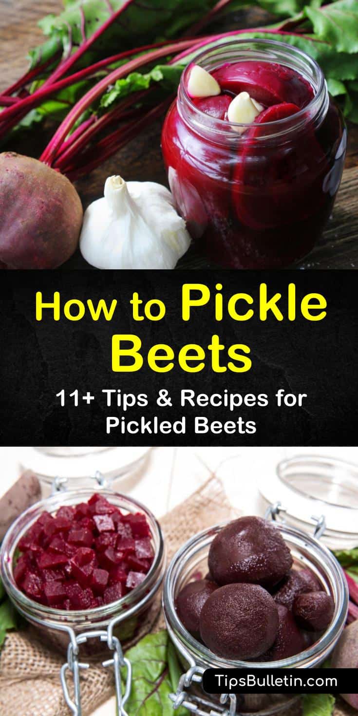 Pickled beets are easy to make; some require canning while other recipes require refrigeration. Canned pickled beets provide numerous health benefits and work as an appetizer, salad topper, and more. #beets #pickledbeets #picklingbeets