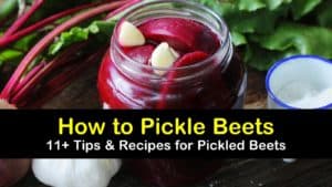how to pickle beets titleimg1