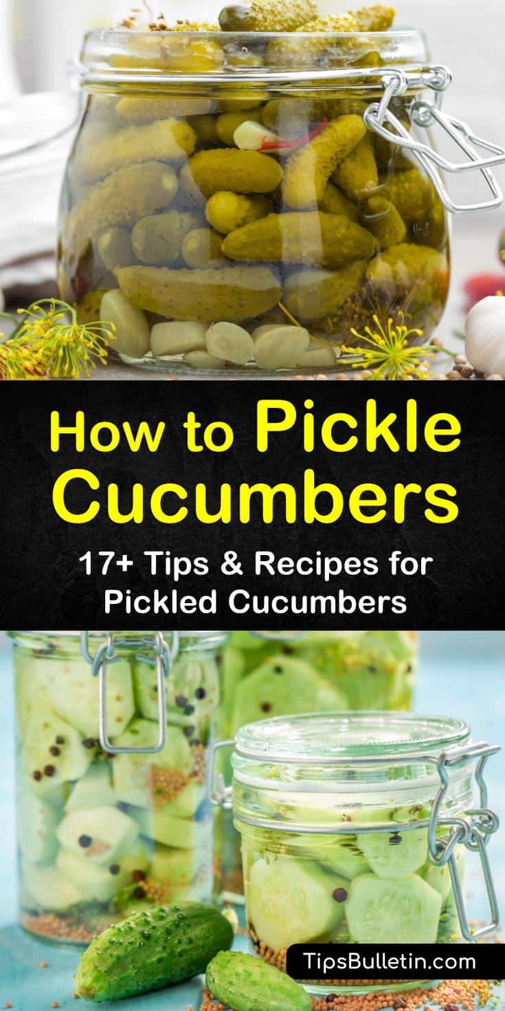 Discover the best strategies for how to pickle cucumbers. Choose from spicy or sweet recipes, as well as how to make the classic dill flavor. Follow these amazing tips for pickling cucumbers with vinegar and preserving them even longer by canning. #pickle #cucumbers #dill #pickled