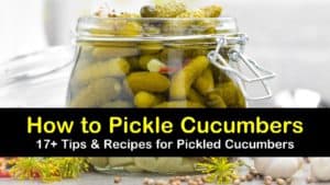 how to pickle cucumbers titleimg1