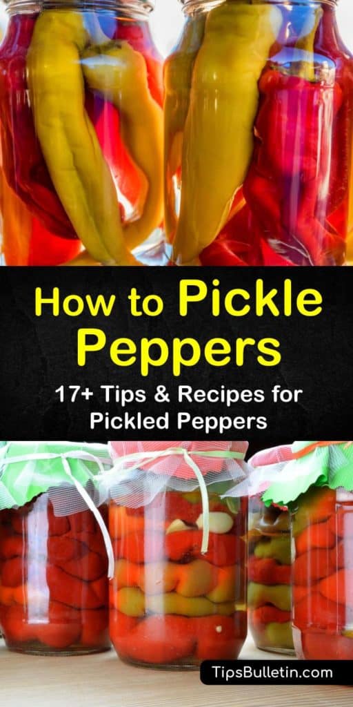 17+ Delicious Ways to Pickle Peppers