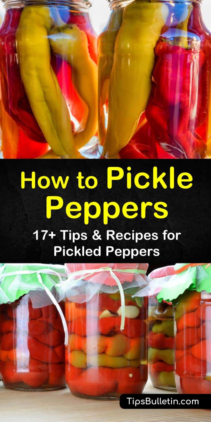 Make pickled peppers in a water bath or refrigerate with one of our quick recipes. Make your hot peppers, bell peppers, and jalapeno pickled peppers with white vinegar and seasonings in a few easy steps. #pickledpeppers #howtopicklepeppers #picklingpeppers