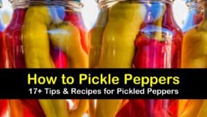 how to pickle peppers titleimg1