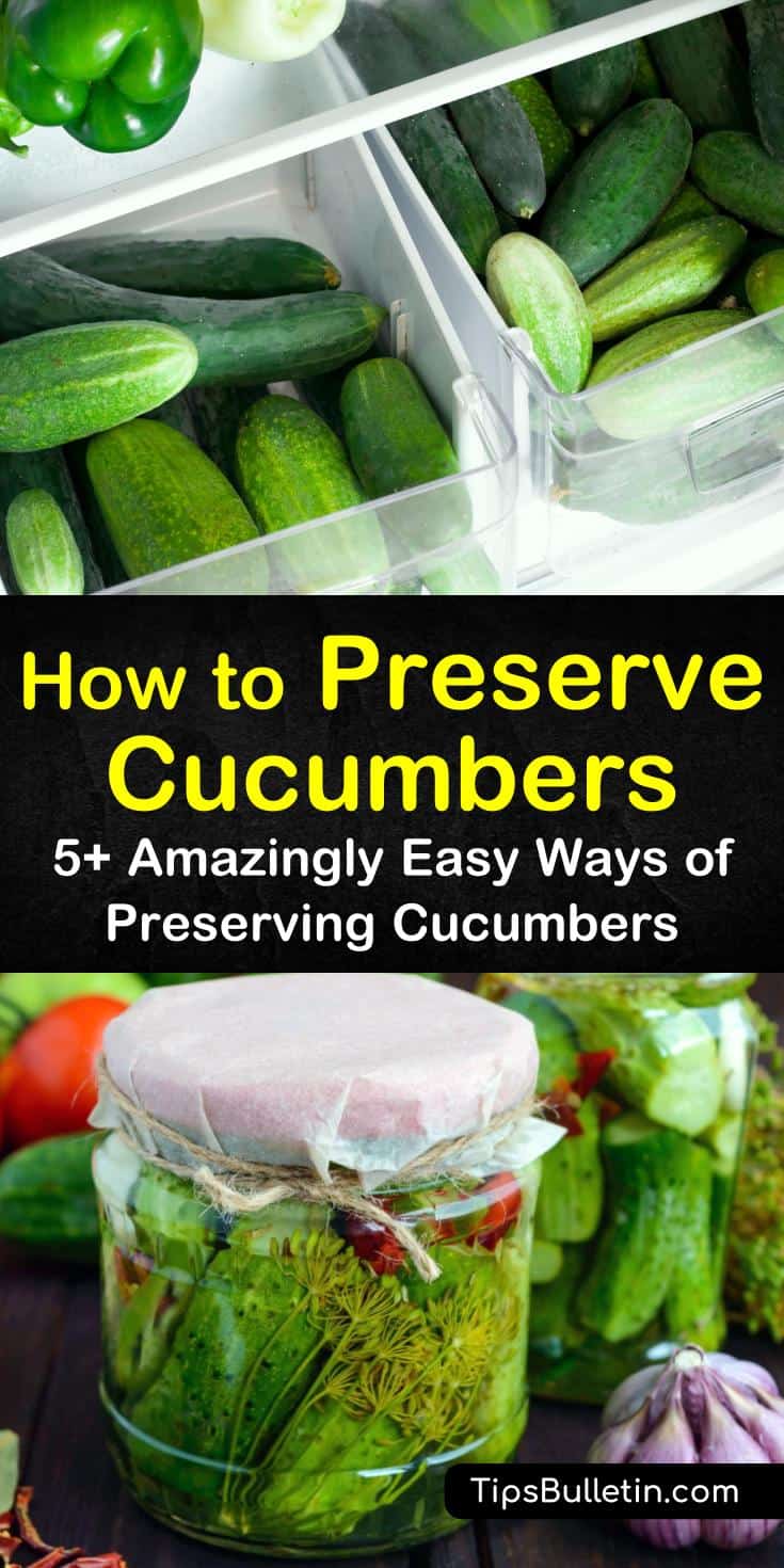 Learn how to preserve cucumbers with or without pickling. Try a delicious pickles recipe, or a yummy way to prepare cucumber chips when dehydrating them. Follow these simple guides for canning, pickling, freezing, and even drying your cucumbers. #preserve #cucumbers #storecucumbers