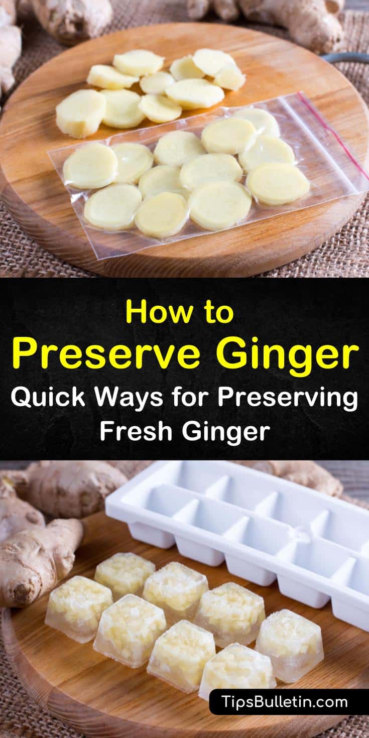 When learning how to store fresh ginger properly you will no longer have to worry about wasting it. From freezing to drying we show you several methods you can use to successfully store and preserve ginger for later use. #ginger #freshginerroot #preserveginger