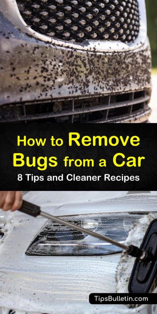 8 Brilliant Ways to Remove Bugs from a Car