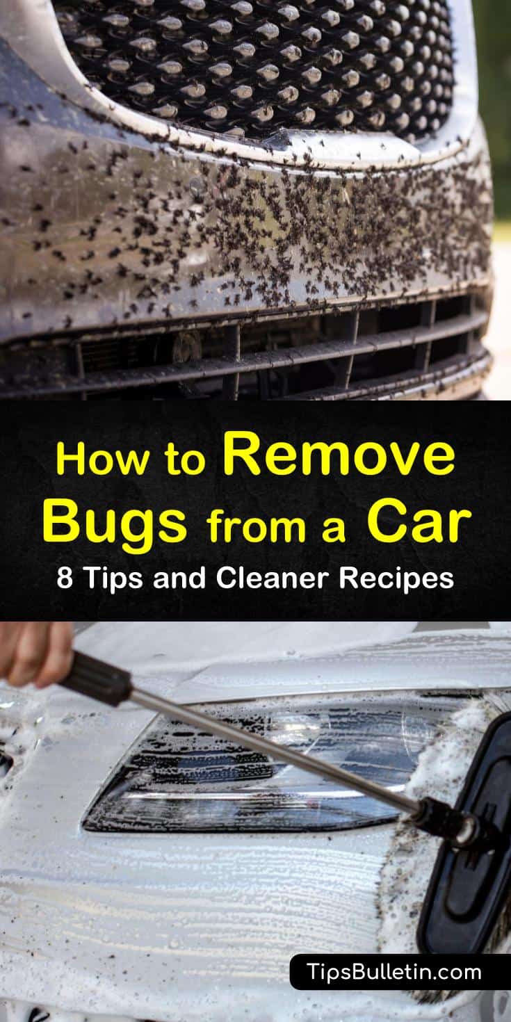 Prevent bug splatters on your car’s bumper using a car deflector and car wax. Remove bug guts off your vehicle using white vinegar, baking soda, WD-40, fabric softener, elbow grease, and a little know-how. #cleanbugs #carcleaning #carbugcleaner