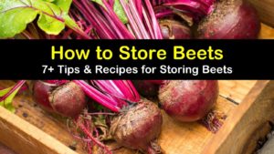 how to store beets titleimg1