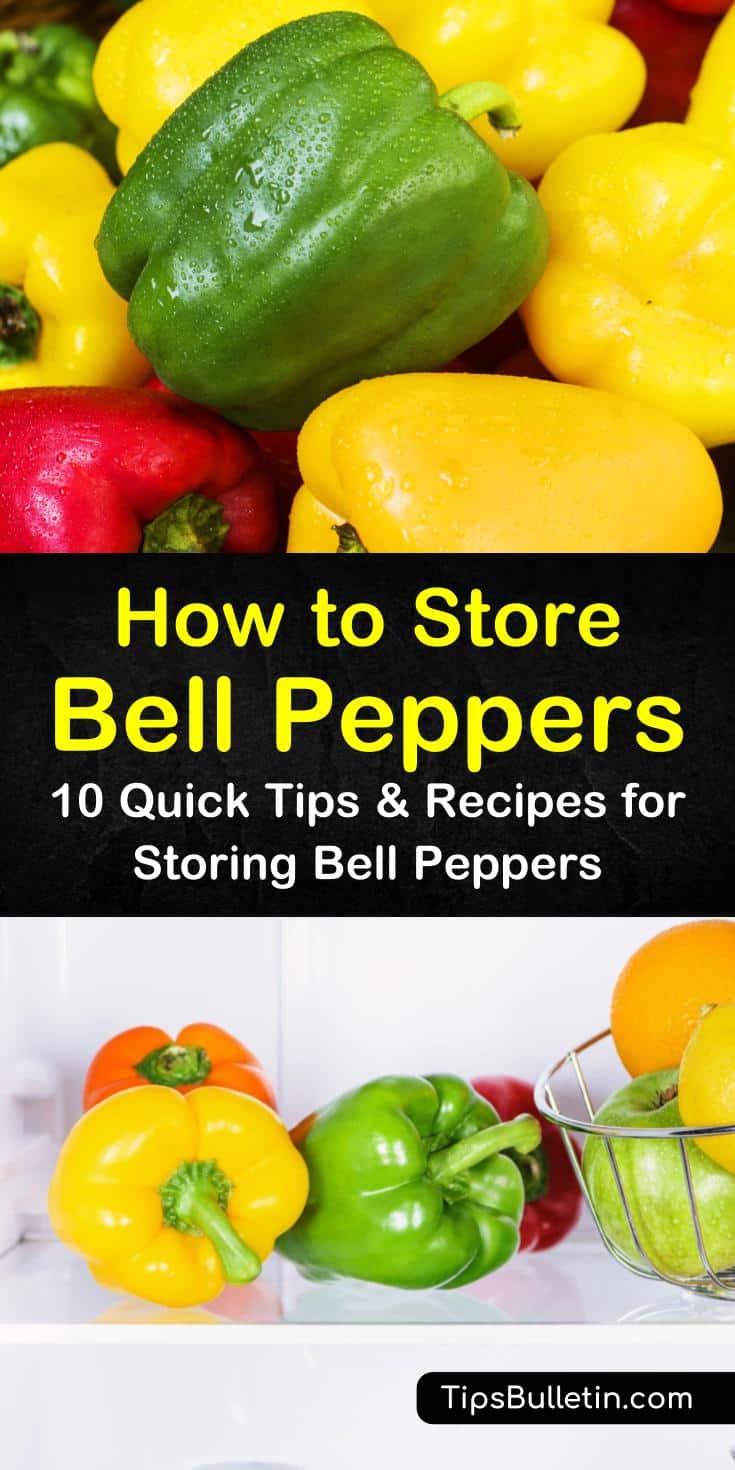 Discover the best methods for how to store bell peppers, whether in fridge, freezer, or drying. Try some new canning recipes for fresh and sweet peppers. Whether you plan on short-term or long-term storage, we have a method that works for you. #store #bellpeppers #canning #freeze #fridge #drying