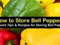 how to store bell peppers titleimg1