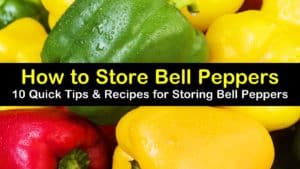 how to store bell peppers titleimg1