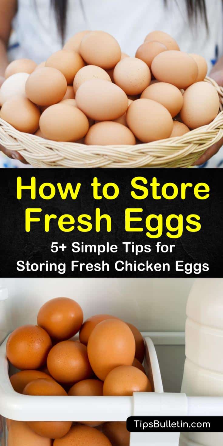 Knowing how to store fresh eggs is important when it comes to food storage. Eggs need to be stored properly, whether they are farm fresh or commercial. While you can store fresh eggs in a couple of ways, commercial eggs need to be refrigerated. #storingfresheggs #eggstorage #howtostoreeggs