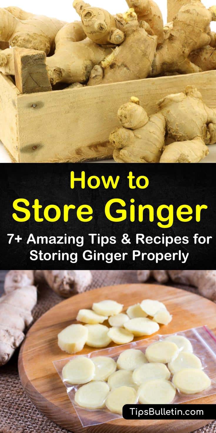 Learn how to store ginger at home in your pantry or refrigerator for short-term use. For longer storage, try freezing your ginger root or storing it in dry sherry. Discover how to grow your very own ginger in containers for year-round storage that doesn’t spoil. #howto #store #ginger #grow #freeze