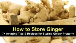 how to store ginger titleimg1