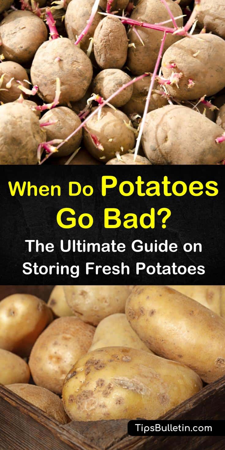 Curious about when do potatoes go bad? This guide will help you determine the shelf life based on how you store potatoes. It will also inform you what signs to look for when potatoes start to go bad, including sprouting, green discoloration, and turning soft. #potatoes #go #bad