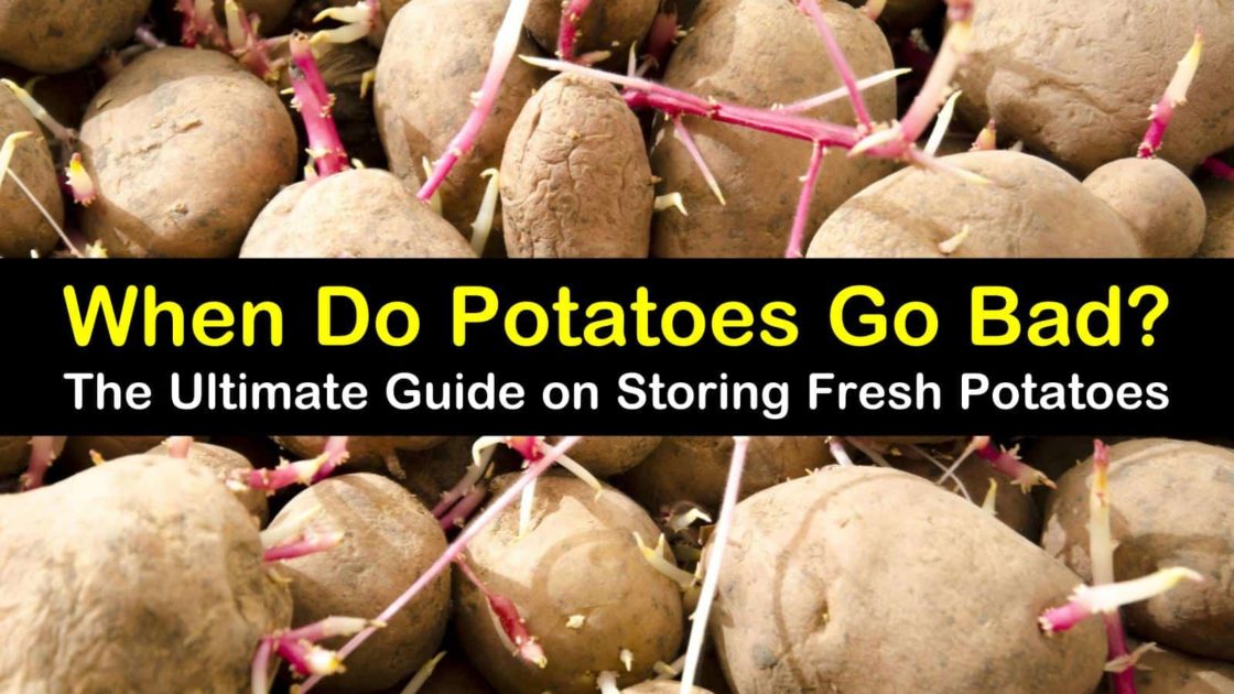 5 Easy Ways To Tell If Potatoes Are Bad