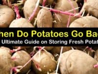 when do potatoes go bad titleimg1