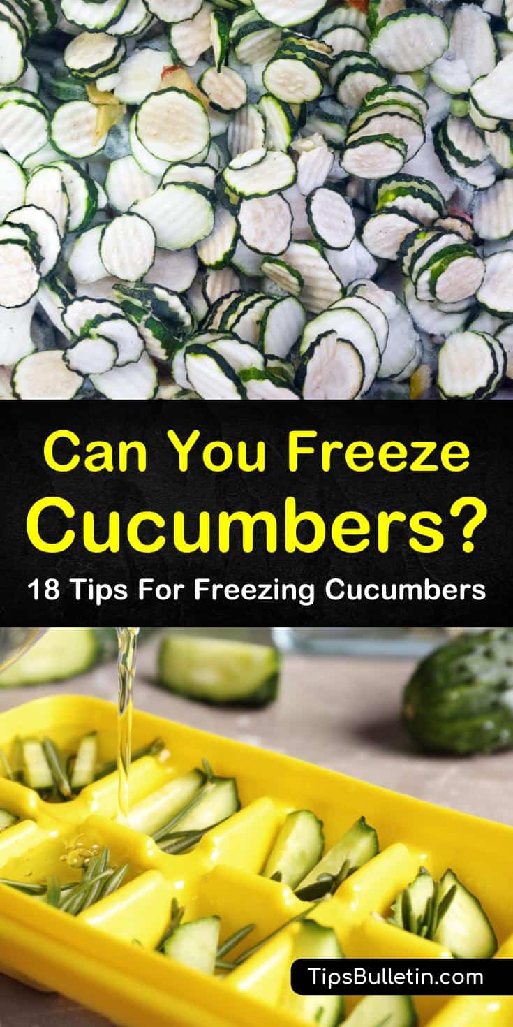 We show you how you can freeze sliced and whole cucumbers to make relish recipes, cucumber salad, and homemade dill pickles. You can even make cucumber ice cubes for smoothies and use cucumber puree for facials. #frozencucumbers #freezecucumbers #cucumber #freeze