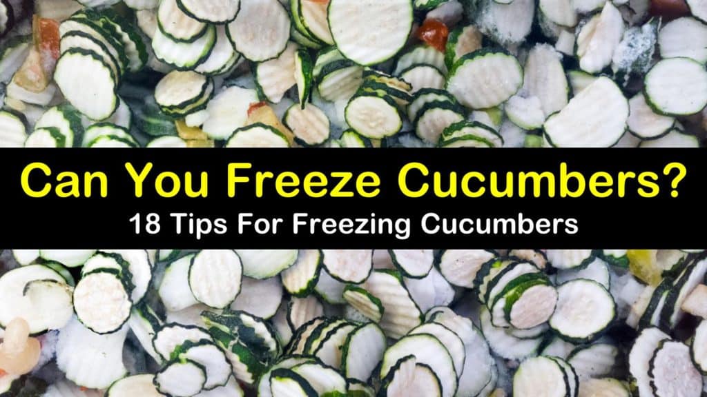 can you freeze cucumbers titleimg1